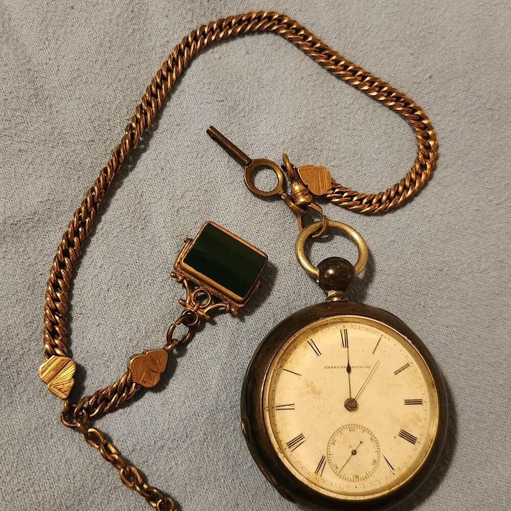 Palace Women's Gold and Brown Watch